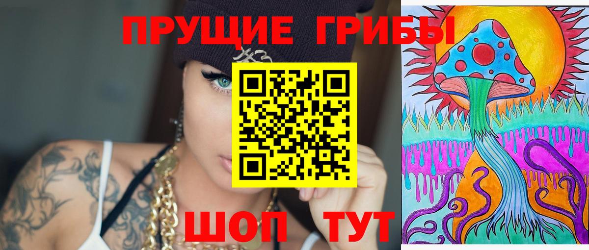 Псилоцибиновые грибы Psilocybe  Вход с VPN  Псилоцибиновые грибы Psilocybine cubensis  Советск 