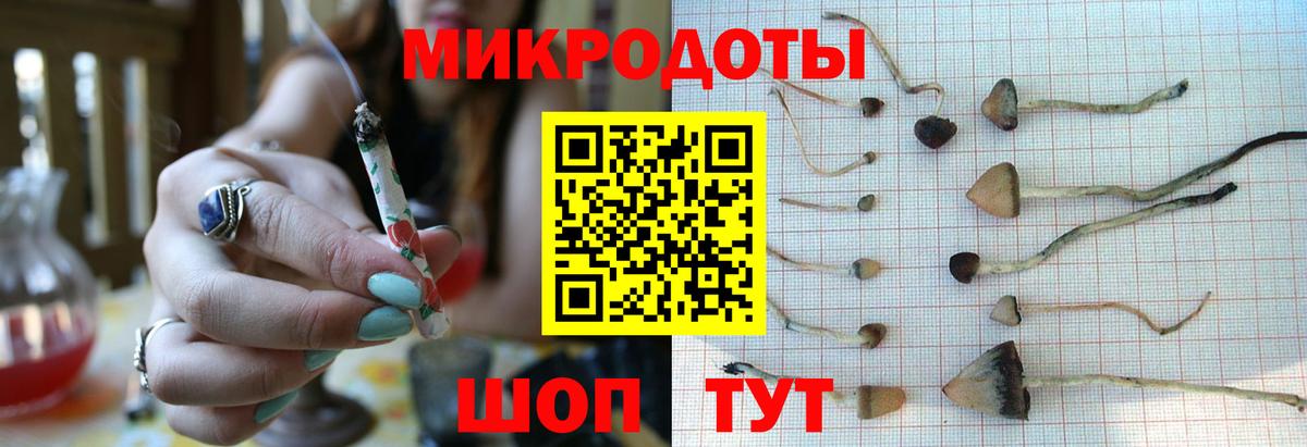 Псилоцибиновые грибы GOLDEN TEACHER Советск